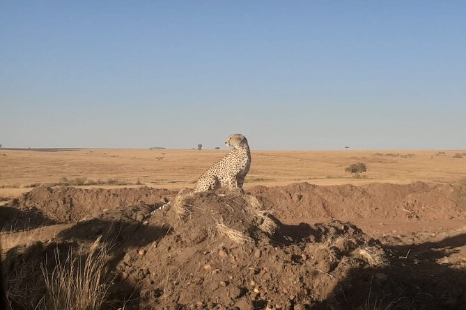 3-Days Maasai Mara Unforgettable Adventure- Jeep Private Safari - Masai Village Visit