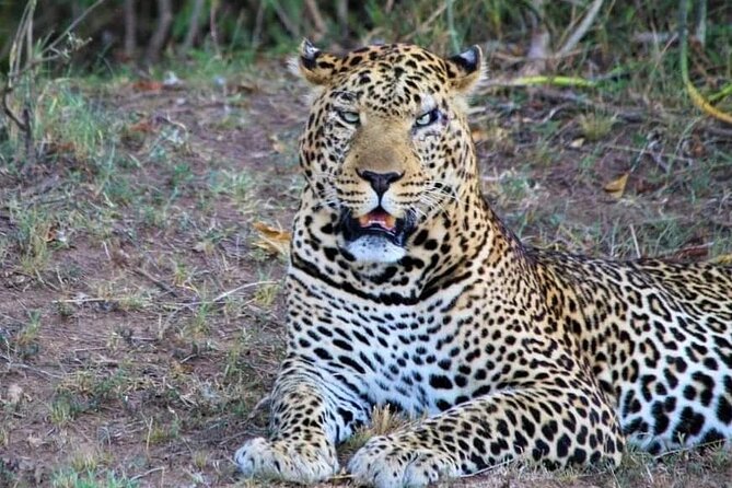 3 Days Masai Mara Flight Safari - Booking Considerations