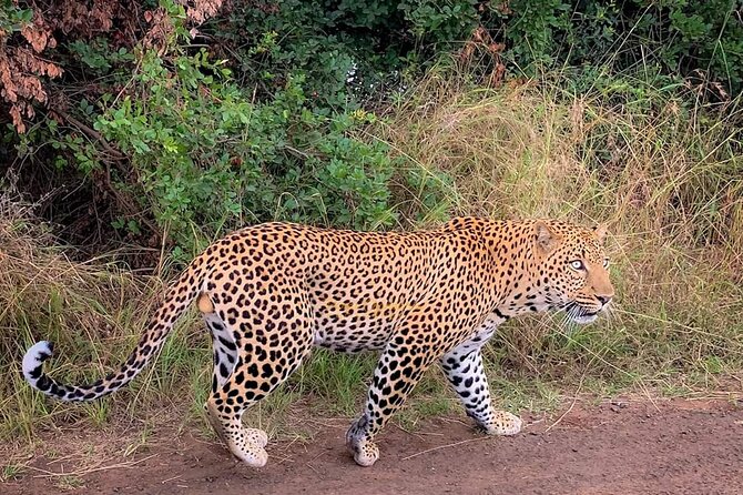 3 Days Private Masai Mara Safari Adventure By 4×4 Jeep - Frequently Asked Questions