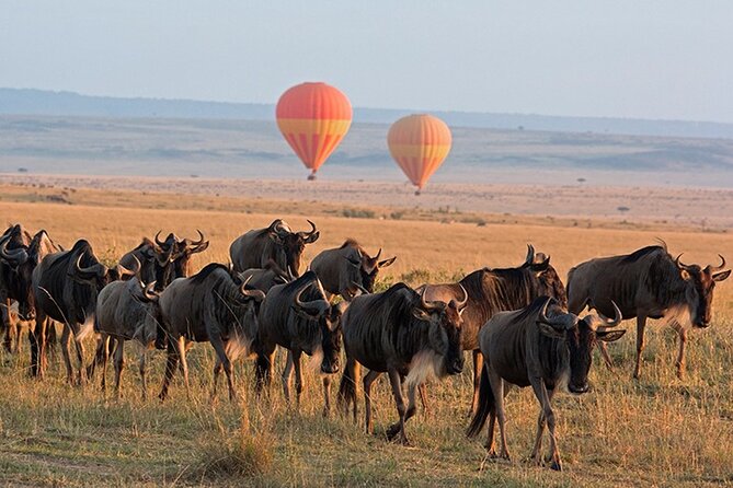 3 Days Private Tour in Maasai Mara - Pricing and Cancellation
