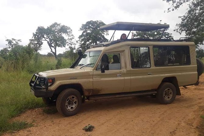 3 Days Safari - Mikumi National Park - Mikumi National Park Highlights