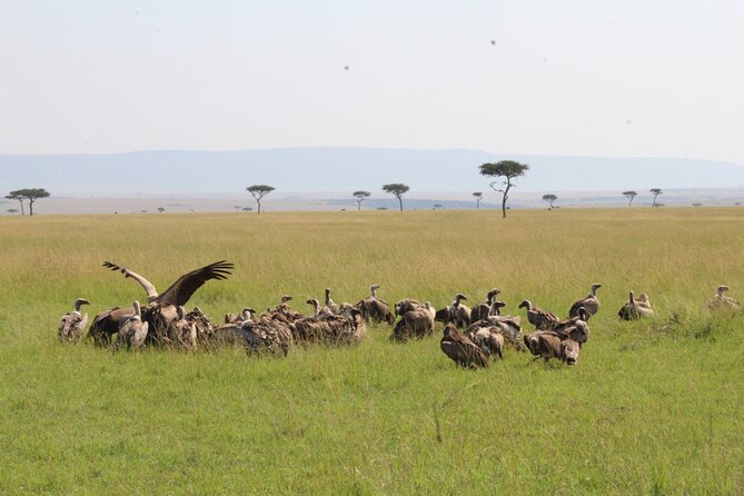 3 Days Safari Tour in Lake Manyara and Ngorngoro - Booking Information