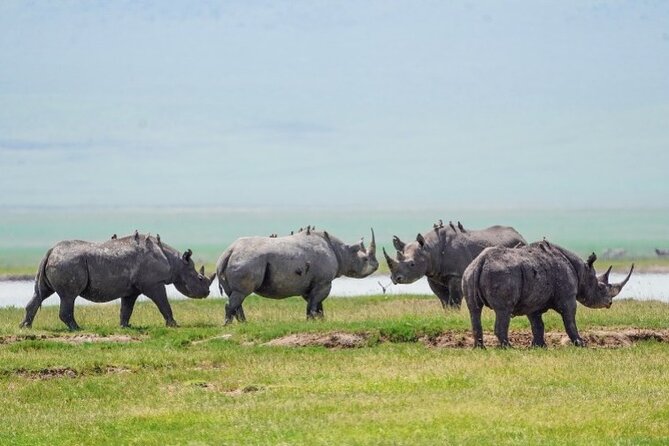 3 Days Tanzania Budget Group Joining Safari Tour - Customer Reviews
