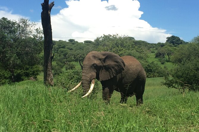 3 Days Tanzania Safari - Pricing Information