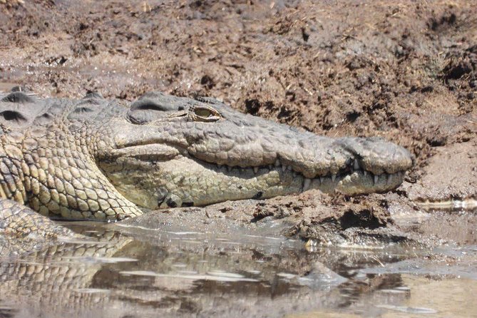 3 Days Tarangire, Manyara & Ngorongoro Mid-Range Camping Safari Tour Tanzania - Accommodations and Camping