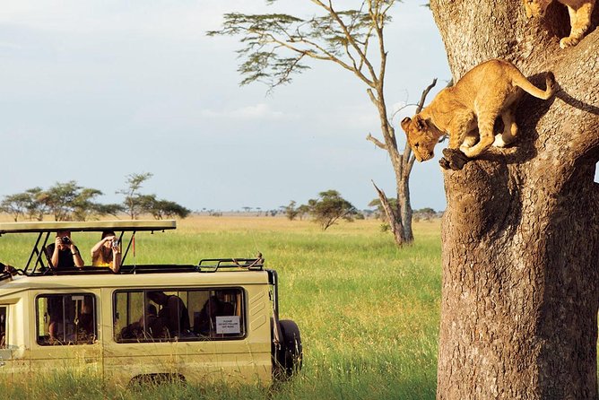 3 Days-Tarangire, Ngorongoro & Lake Manyara: Camping Joint Safari. - Whats Included