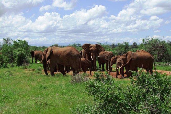 3 Days Tsavo East & West Starting From Mombasa. - Booking Details