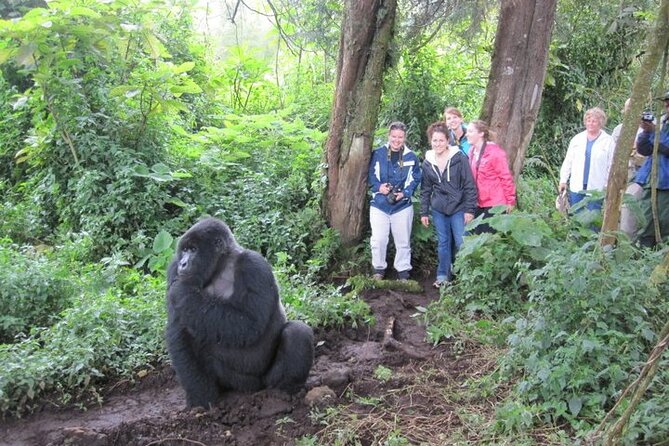 3 Days Uganda Gorilla Trekking Safari - Cancellation Policy