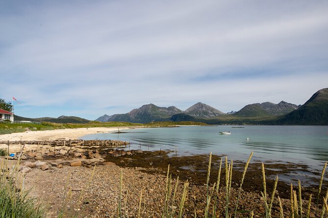 3 Fjords Scenic Road Trip With Light Snacks + Fire in Grill Cabin - Maximum of 8 Travelers Per Tour
