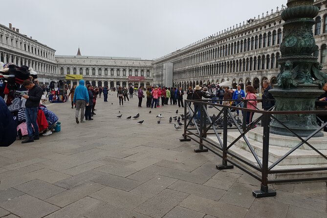 3-hour Best of Venice Highlights Private Walking Tour - Traveler Feedback