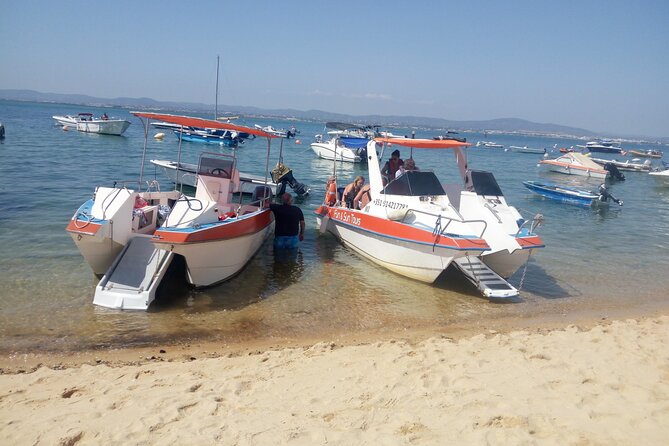 3 Hour Boat Tour in Ria Formosa - Scenic Views and Wildlife