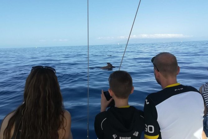 3-Hour Boat Trip From Costa Adeje in Tenerife - Sighting Opportunities