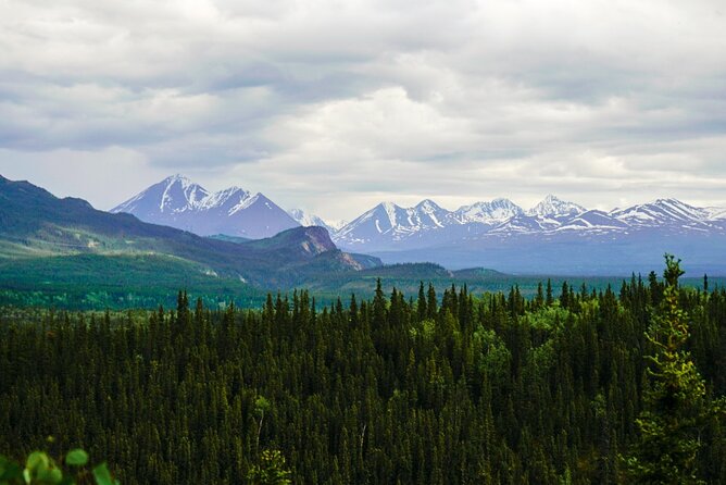 3 Hour Naturalist Walking Tour in Denali National Park - Knowledgeable and Friendly Guides