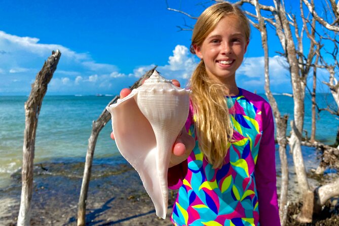 3 Hour Private Dolphin & Shelling Tour - Accessibility Options