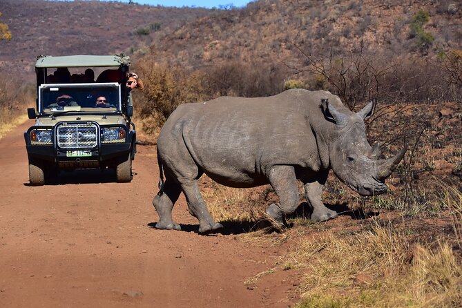 3-Hour Private Game Drive of Pilanesberg National Park - Vehicle and Comfort Features