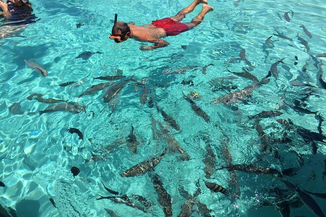 3 Hour Private Snorkeling in Marathon Florida - Health and Safety Guidelines