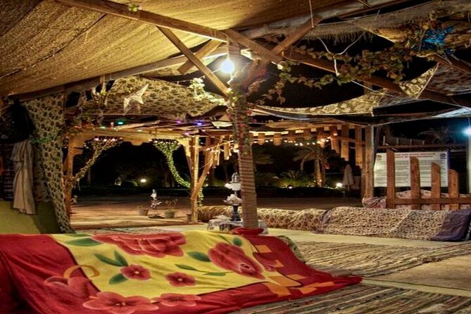 3-Hour Quad: Explore a Bedouin Village and Camel Ride in Hurghada - Camel Riding Adventure