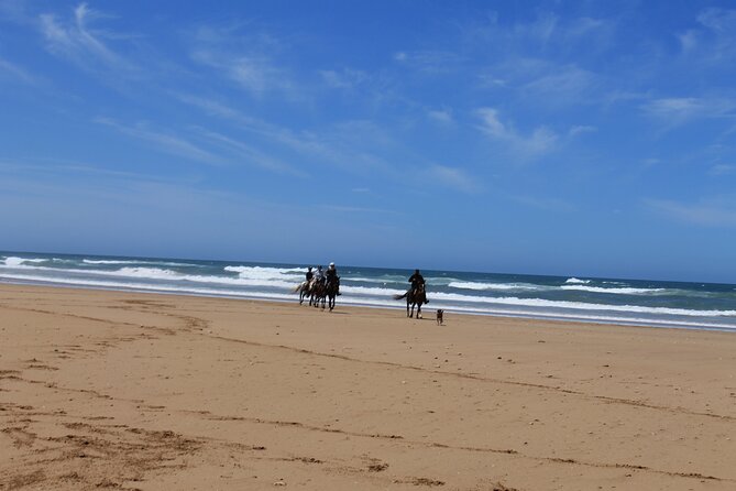 3 Hours Horse Riding With Dinner and Overnight Berber Camp - Dining and Accommodation