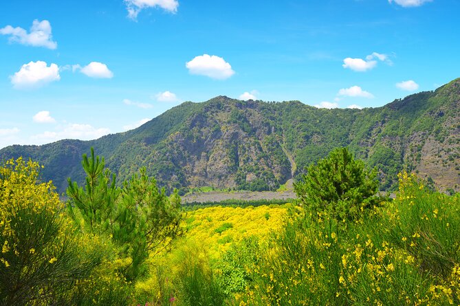 3 Hours Mount Vesuvius Crater Visit From Pompeii - Cancellation and Pricing