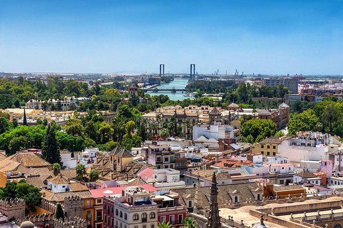 3 Hours Private Guided Tapas Walking Tour in Seville - Participant Reviews and Feedback