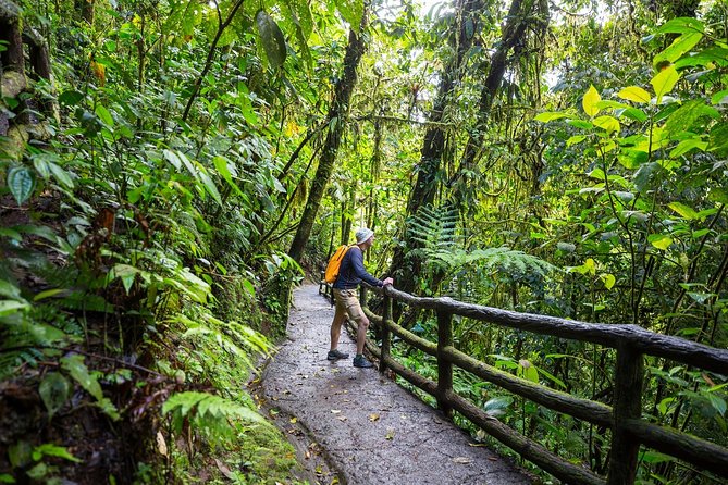 3 in 1 Eco Tour Rain Forest Aerial Tram, River Cruise & Nature Walk Private Tour - Lowest Price Guarantee