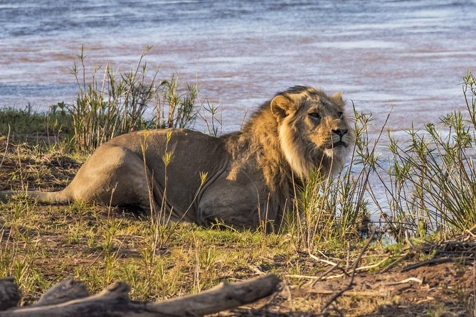 3 Nights Exclusive Masai Mara Safari - Pricing and Cancellation Policy