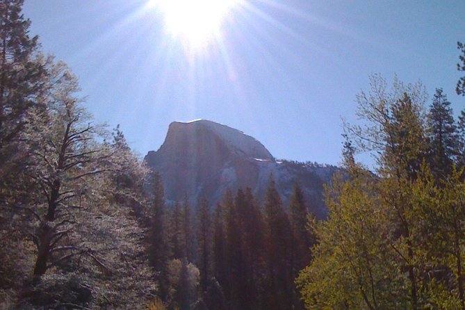 4 Day Death Valley, Yosemite, San Francisco From Las Vegas Camp or Lodge - Health and Safety Guidelines