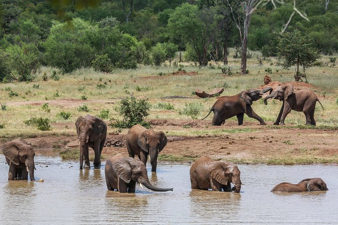 4-Day Discover Victoria Falls, Chobe and Hwange Park - Exploring Victoria Falls