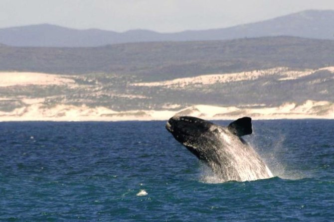 4 Day Garden Route Luxe Selection Micro Group Tour From Cape Town - Tour Confirmation