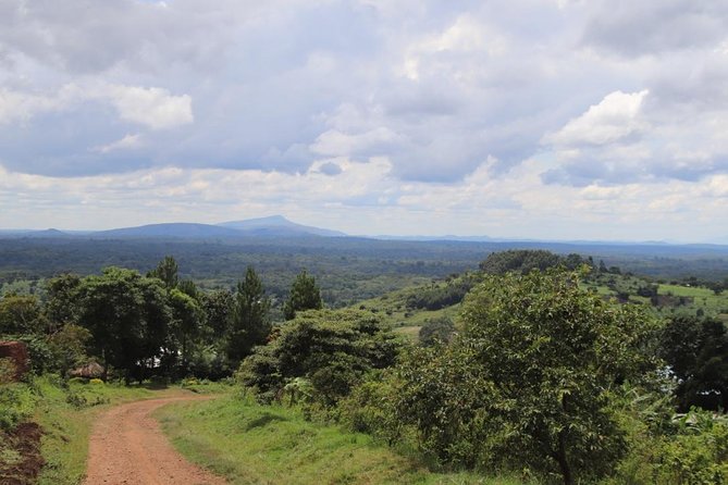 4-Day Gorillas, Wildlife and Chimpanzee Trek at Kalinzu Forest - Itinerary and Logistics