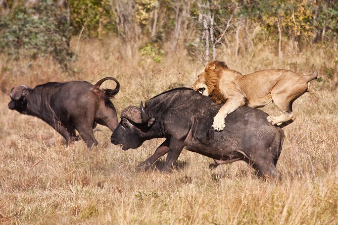 4-Day Group Safari to Tarangire, Serengeti & Ngorongoro Crater - Booking Information