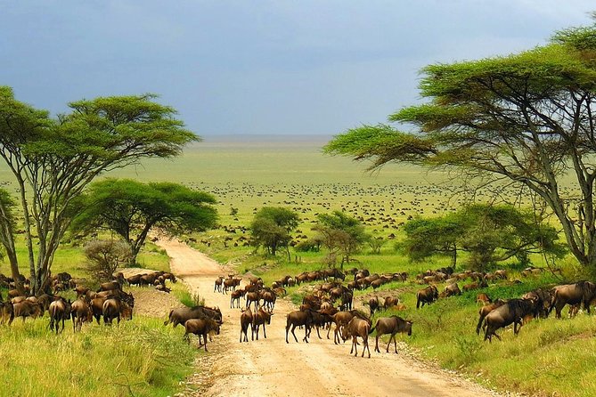 4 Day Kruger National Park and Panorama Route Safari - Reviews