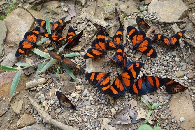 4-Day Manu Jungle Trip From Cusco - Recommended Packing List