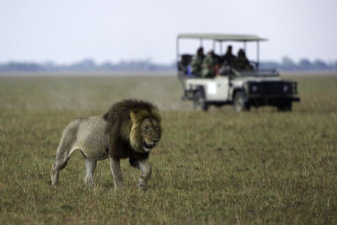 4-Day Manyara Serengeti and Ngorongoro Wonders Budget Safari Tour - Whats Included