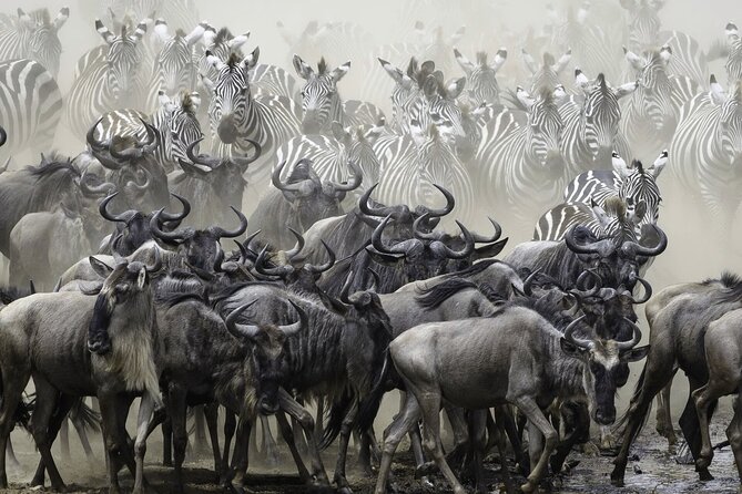 4-Day Masai Mara and Lake Nakuru Safari Tour From Nairobi - Optional Activities