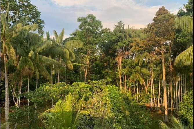 4 Day Private Wild Amazon Adventure Tour - Pricing Details