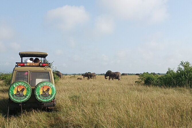 4-Day QENP, Gorillas in Bwindi and Lake Bunyonyi Relaxation - Pickup and Logistics