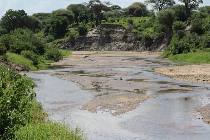 4-Day Safari in Tarangire, Serengeti & Ngorongoro (Mid-range) - Accommodation and Meals
