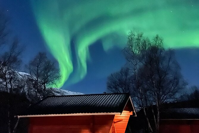 4 Days, 3 Countries Tour: Northern Lights and Moose - Itinerary Day 1