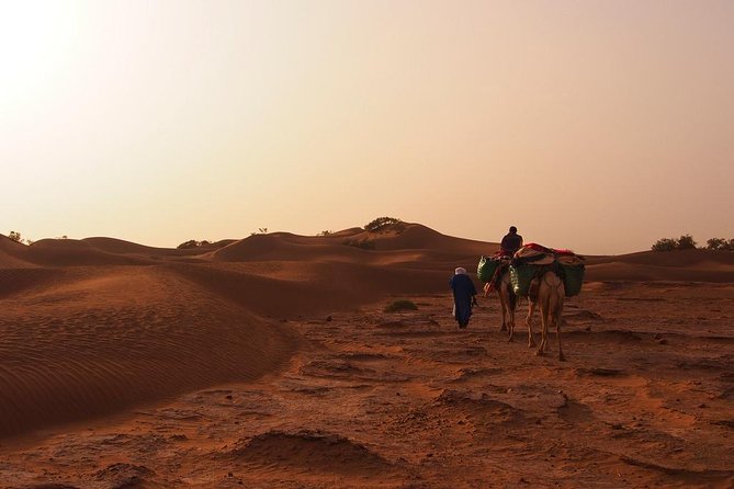 4 Days Hiking To Desert - Cancellation Policy