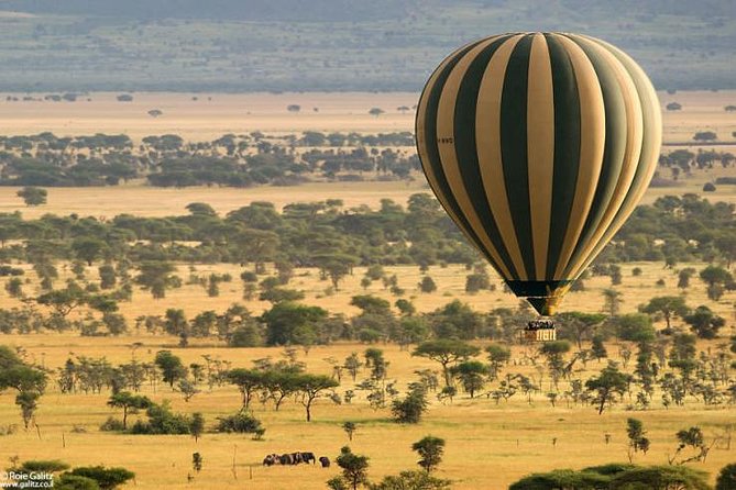 4 Days Join Group Safari in Serengeti, Ngorongoro and Lake Manyara National Park - Accessibility Features