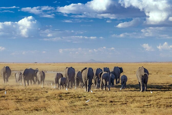 4 Days Kenyan Wildlife Safari - Pricing Information