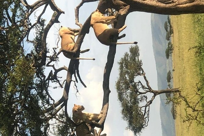 4 Days Lodge &Camping Tarangire,Serengeti, Ngorongoro Safari Tour - Packing Recommendations