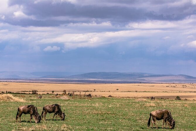 4 Days Masai Mara Safari - What to Bring