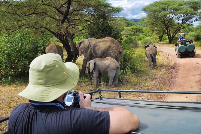 4 Days Private Lodge Safari - Wildlife Encounters
