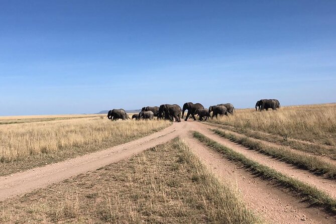 4 Days Tanzania Camping Safari - Pricing Details