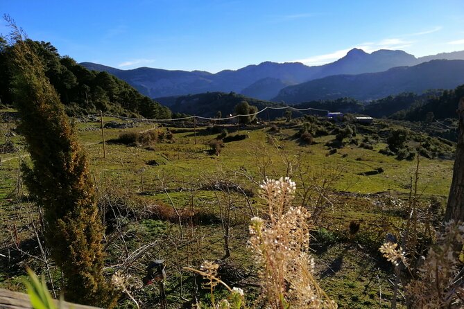 4 Days Trekking in the Rif Mountains - Preparing for the Trek