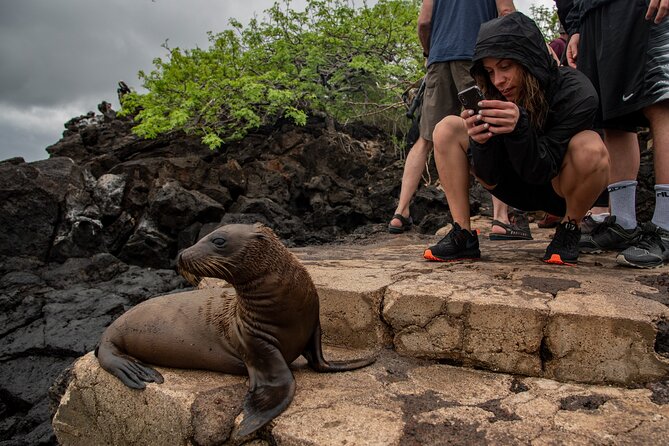 4 Days - Wild San Cristobal - Departure and Reflection