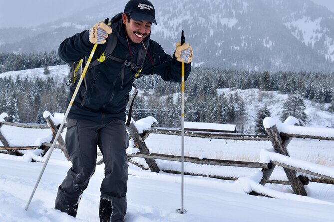 4 Hour Beginner Cross Country Skiing in Grand Teton - Sum Up