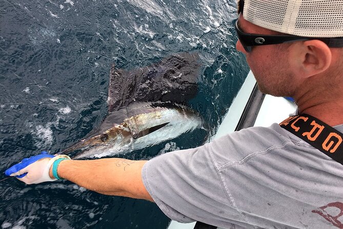 4 Hour Charter - Meeting and End Point
